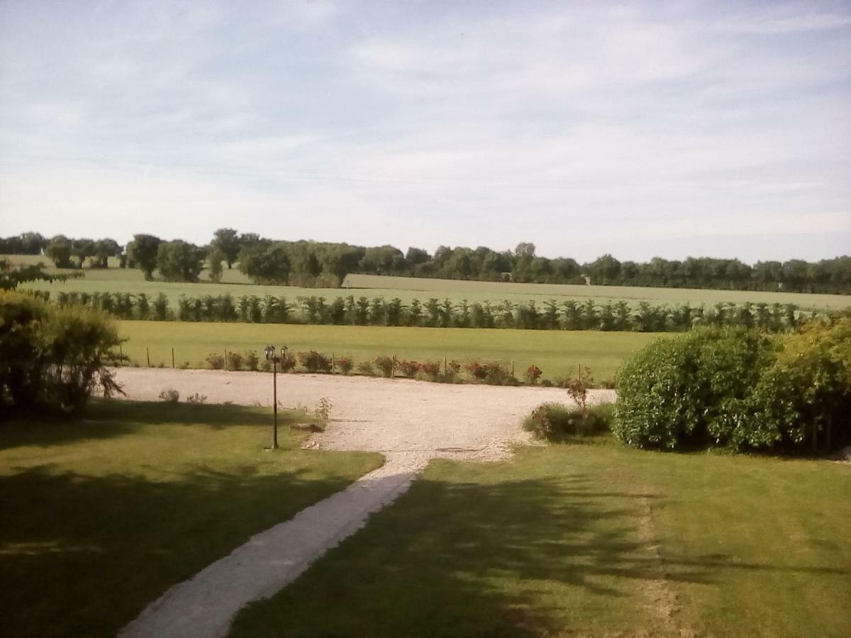 Saint-Jean-dʼAngély Maison Lavande Bed & Breakfast エクステリア 写真
